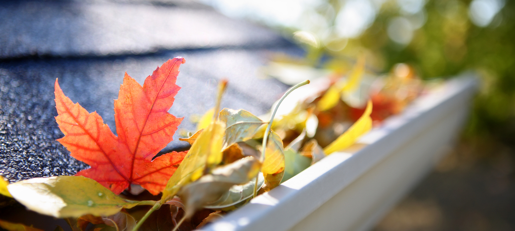 3 Fall Roof Maintenance Tips